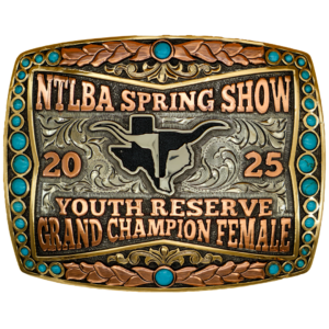 Amherst buckle