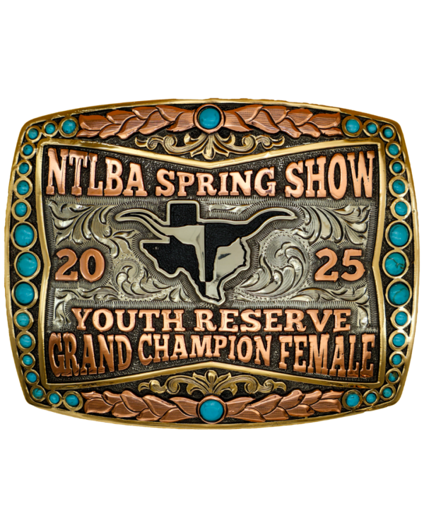 Amherst buckle