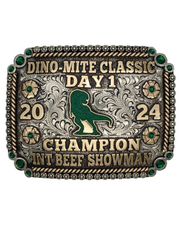Hillsboro buckle