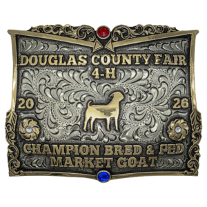 New buckle model 11 Frontier Buckle